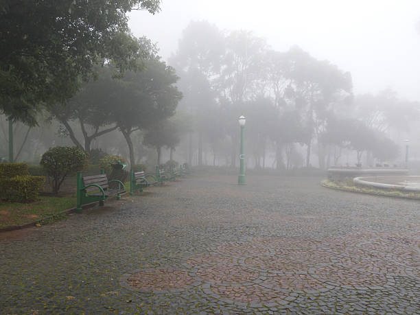 Foggy morning in the park with a path in the foreground