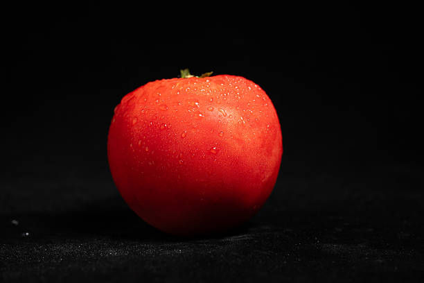 istock Fresh Red Tomatoes with Dew Drops on a Black Background 2237957580
