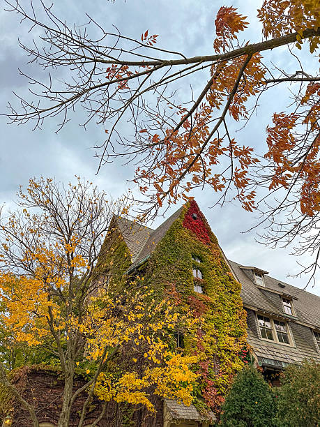 istock Ivy Covered House with Autumn Leaves 2237961986