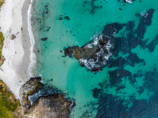 istock Rocky and Clear Beach Drone Topdown 2237962612