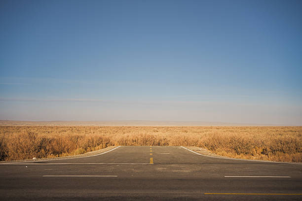 A Straight Road Through the Desert Landscape