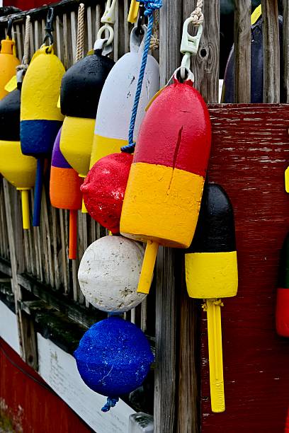 istock Colorful Lobster Buoys 2237971555