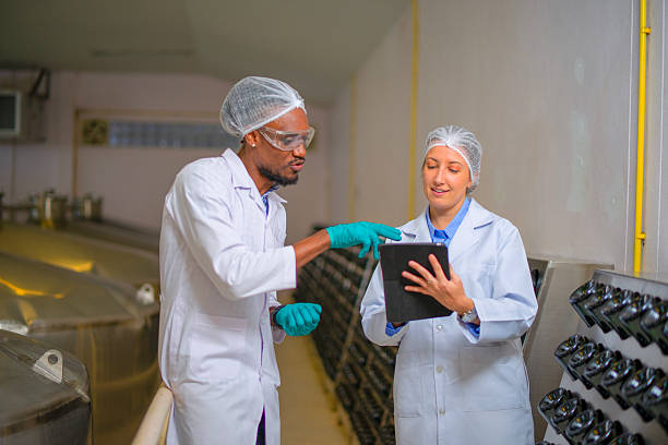 istock Small business winery for wine production. 2237976288