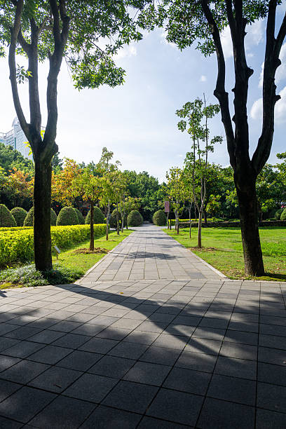 istock A Serene View of a Park Pathway Lined with Trees and Greenery on a Sunny Day 2237980423