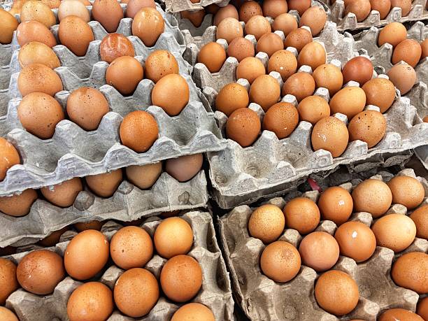 Several trays filled with fresh brown eggs neatly arranged in gray paper cartons, displayed for sale or bulk food storage.