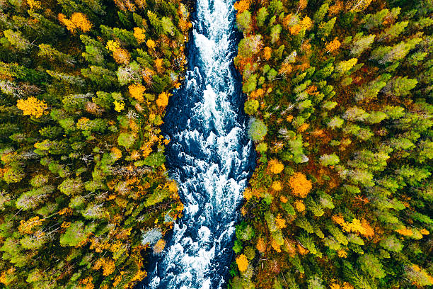 istock Aerial view of fast river through fall woods or forest with colorful trees. 2237994337