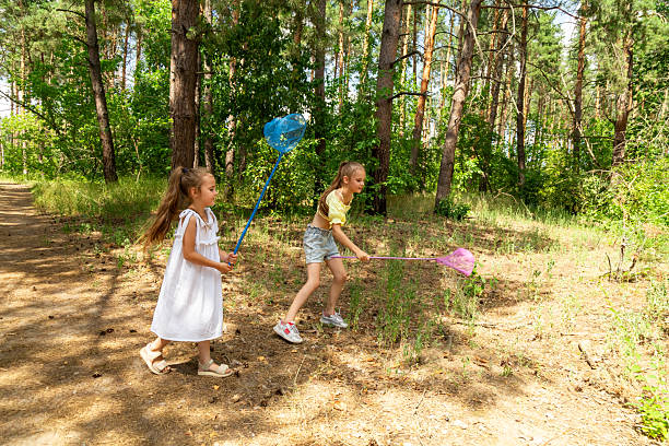 istock Two little girls catching insects with nets in forest 2237995796