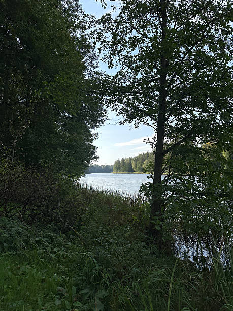 istock Natural landscape with a river through green trees. 2237995986