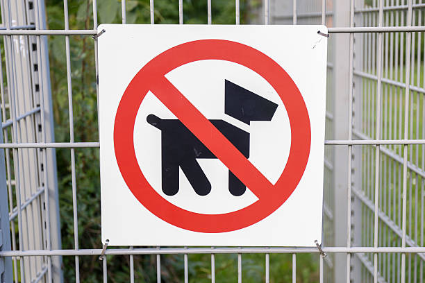 istock This area is clearly designated with a sign that states No Dogs Are Allowed Here 2237996148
