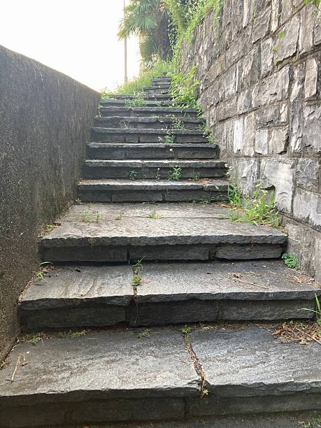 istock Stone Staircase with Stone Wall and Plants 2237998961