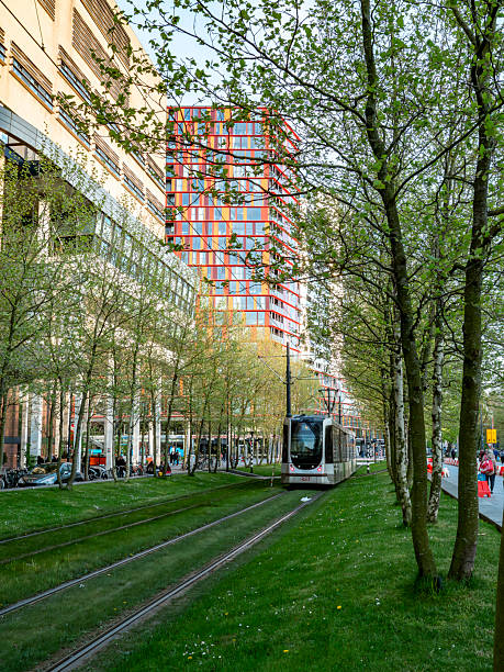 Contemporary tram operating in Rotterdam, emphasizing renewable energy and sustainable commuting.