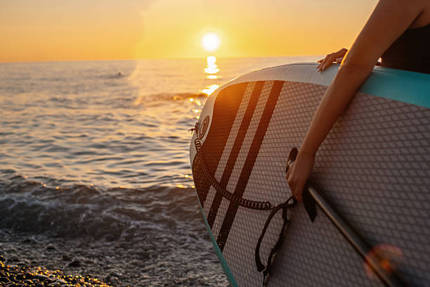39,000+ Surfboard At Sunset Stock Photos, Pictures & Royalty-Free