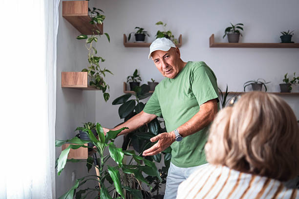 istock Should we put on more potted plants and where? 2238000717