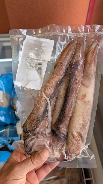 Frozen Squid Packaged for Your Seafood Delight and Culinary Experiences Awaiting You