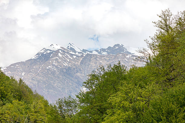A mountain range with snow on the top and trees in the foreground. The sky is cloudy and the mountains are in the background