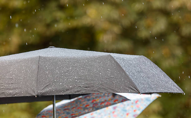 istock A black umbrella with a white pattern is being used in the rain 2238003945