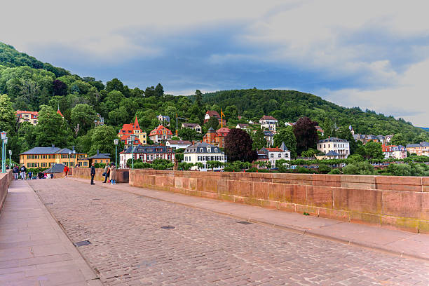 Heidelberg, Germany - June 8, 2025: Scenic view of Heidelberg's charming riverside, featuring colorful historic buildings and lush green hills under a cloudy sky.