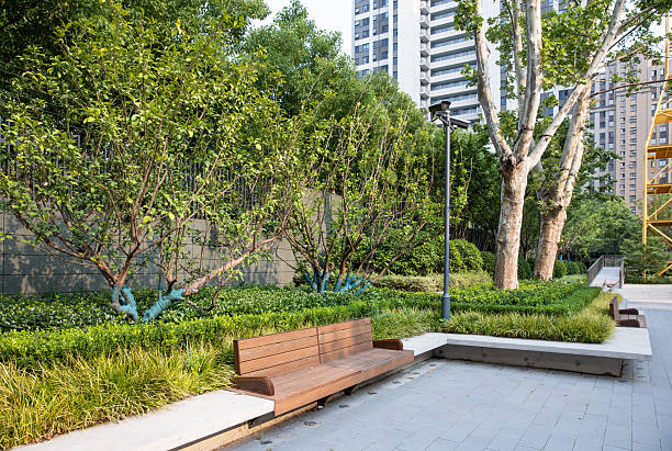 istock Bench in a city park 2238010160