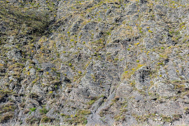 Background of Rocky slope with sparse green vegetation and small trees under a clear sky, showing the natural landscape