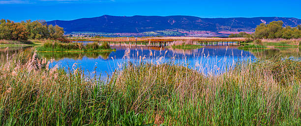 istock Tablas de Daimiel National Park, Daimiel, Ciudad Real, Castilla La Mancha, Spain 2238020917