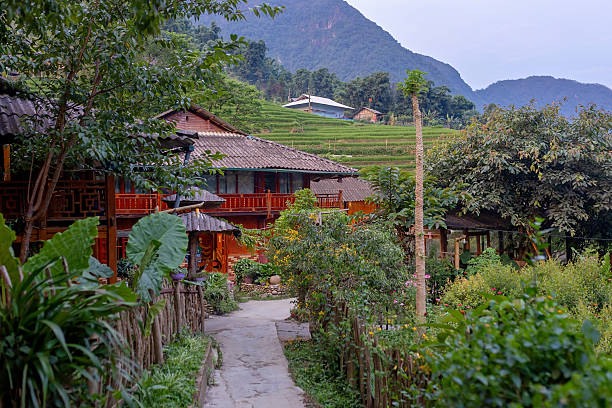 Family with children, cute blond boy, visiting Sapa rice fields