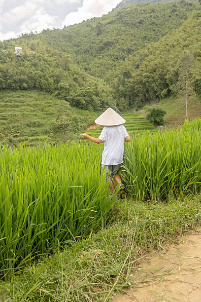 istock Family with children, cute blond boy, visiting Sapa rice fields 2238022276