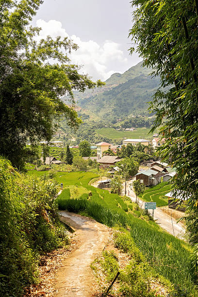Family with children, cute blond boy, visiting Sapa rice fields