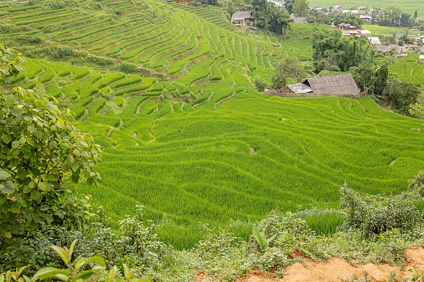 istock Family with children, cute blond boy, visiting Sapa rice fields 2238022332
