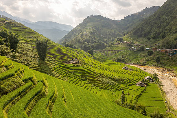 istock Family with children, cute blond boy, visiting Sapa rice fields 2238022375