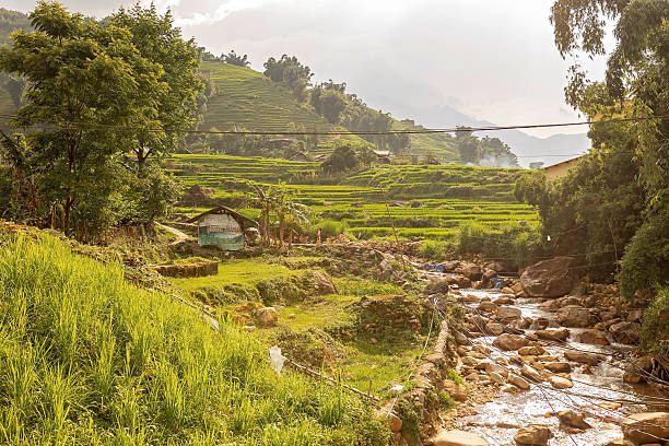 Family with children, cute blond boy, visiting Sapa rice fields