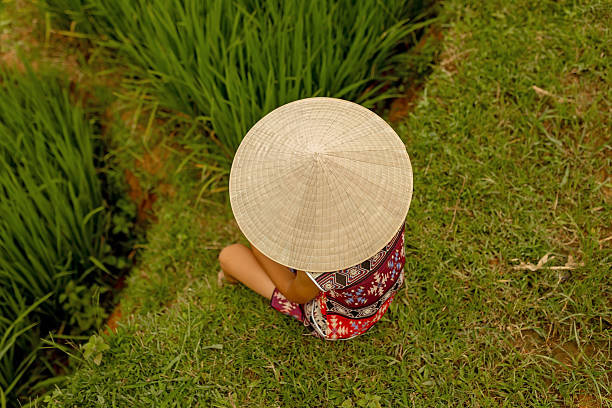Family with children, cute blond boy, visiting Sapa rice fields on a sunny day