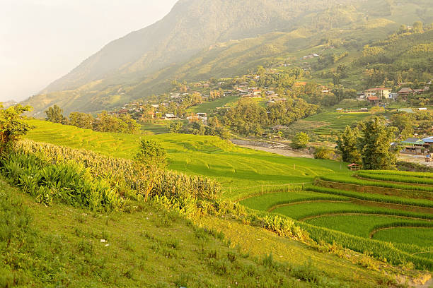 Family with children, cute blond boy, visiting Sapa rice fields