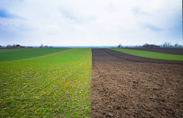 istock Agricultural land, partly modeled 2238025743