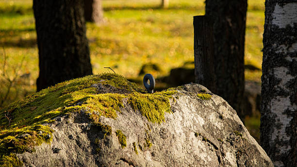 Steel eyeley into a stone