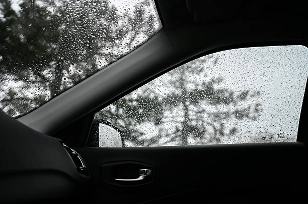 Raindrops appearing on a car window with a blurred forest view through the glass