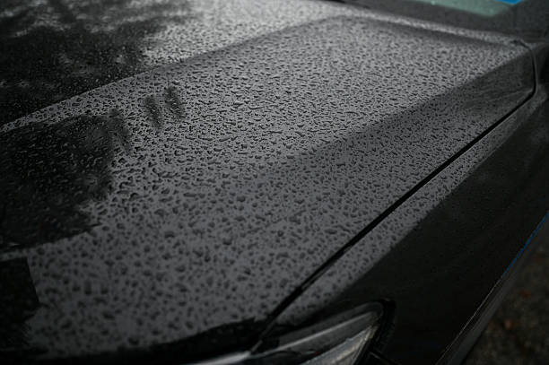 Raindrops covering a black car hood during wet weather