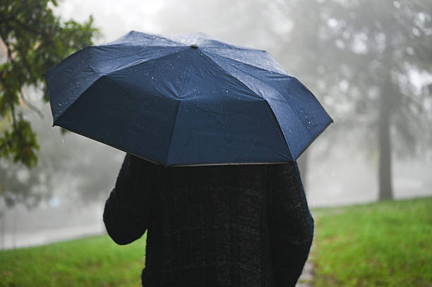 istock Person walking with umbrella in park during rain 2238032521