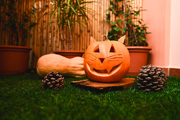 Smiling Halloween pumpkin in the garden