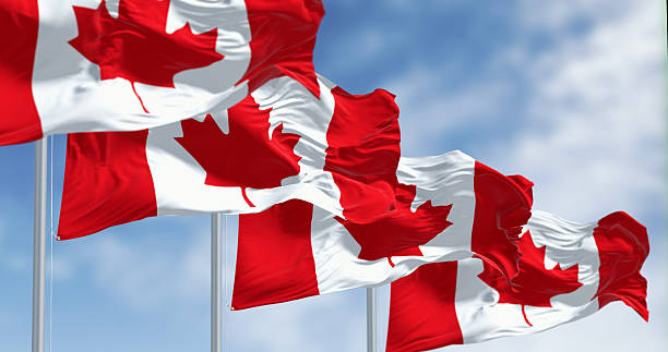 istock Multiple Canadian Flags Waving on Flagpoles Under Blue Sky 2238046758