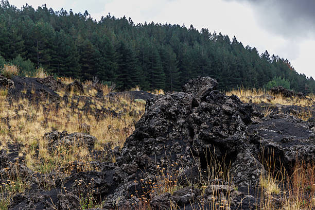 Volcanic Landscape in Etna National Park. Lava Fields. Volcano Mount Etna . Sicily