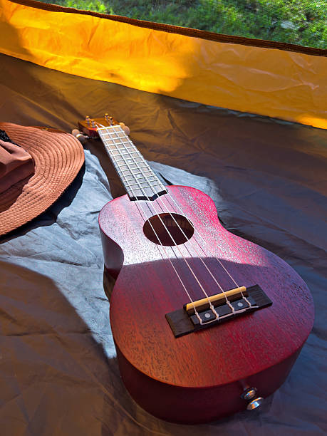 istock A refreshing and cute ukulele picnic in the park in early summer 2238056521