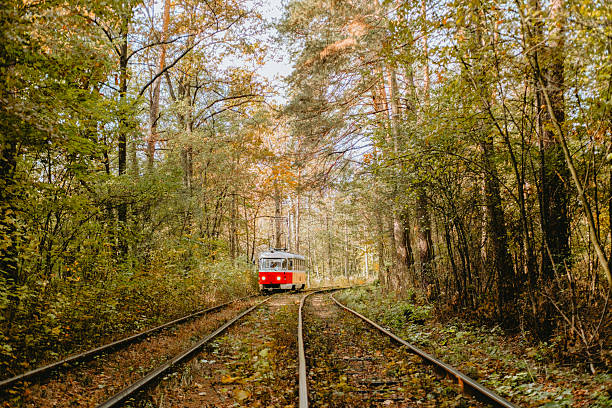 istock Red train travels through a forest on winding tracks during autumn 2238056607