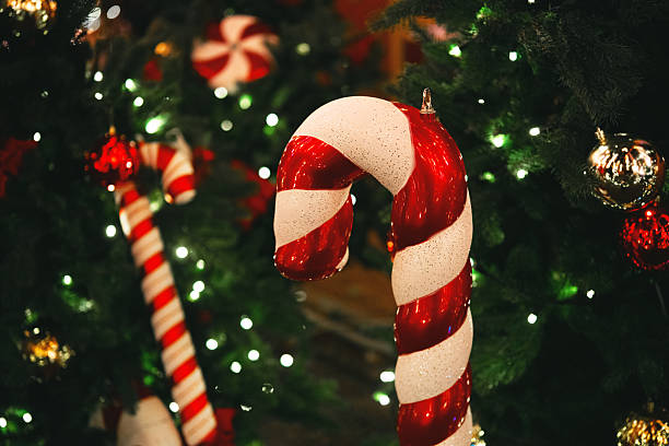 istock Christmas tree branches with candy cane ornaments and string lights, festive decorations 2238056737