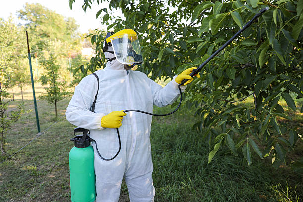 istock Worker Wearing Safety Suit Spraying Chemicals on Orchard Trees 2238056910