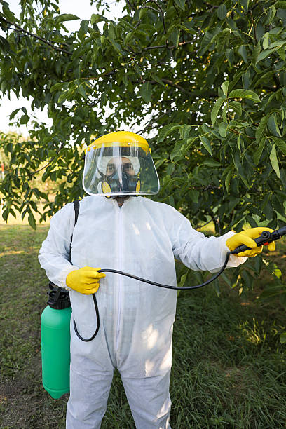istock Farmer in Protective Gear Spraying Walnut Tree for Pest Control 2238056923