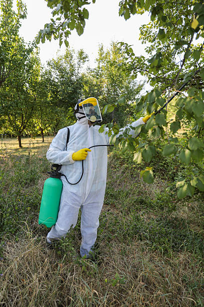 istock Farmer In Safety Gear Treating Plants 2238058645