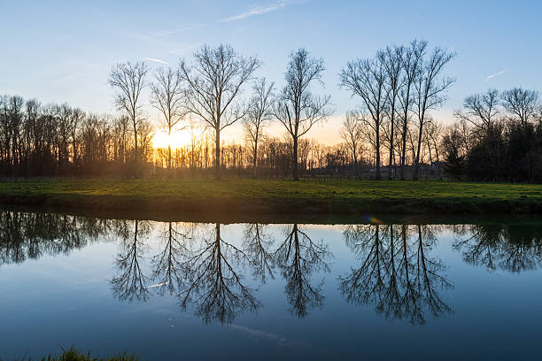 istock Nature in East Flanders 2238059322