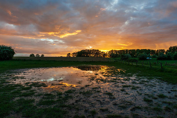 istock Nature in East Flanders 2238059340