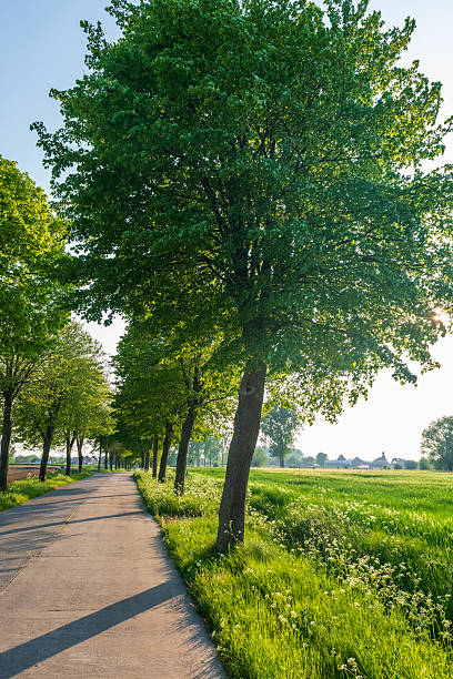 istock Nature in East Flanders 2238059373