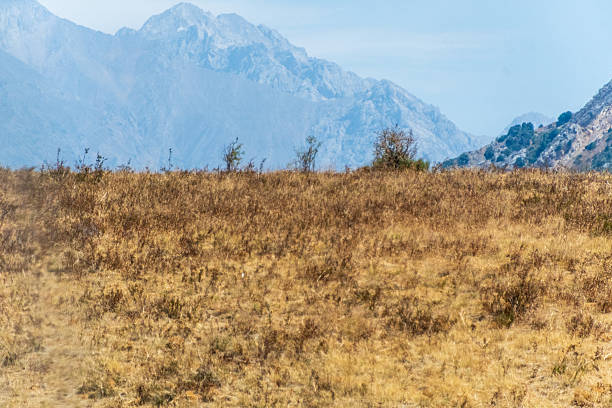 A beautiful landscape shot from Aksu Canyon National Park in the south of Kazakzstan.